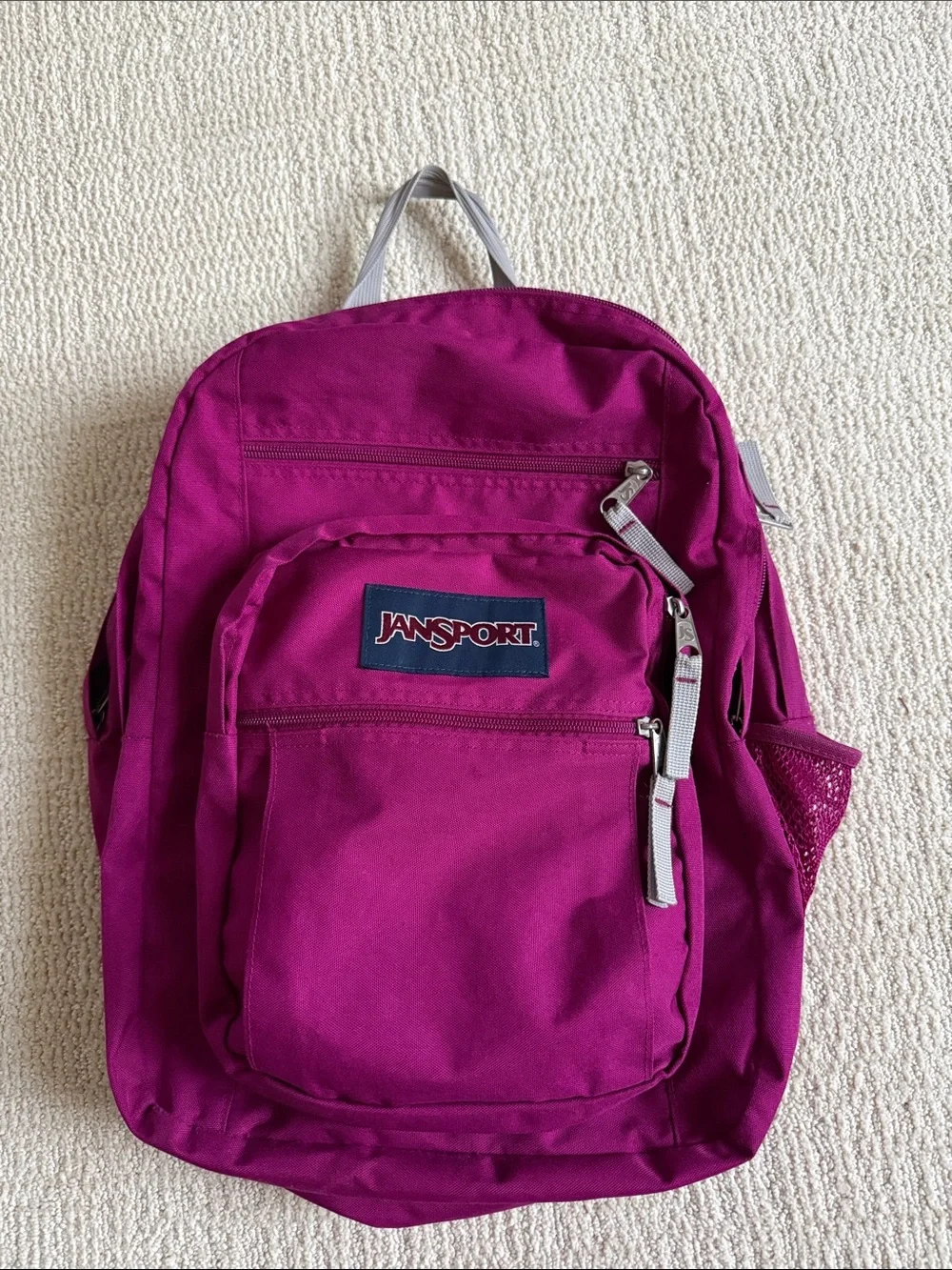 Jansport Magenta Everyday Backpack for Men